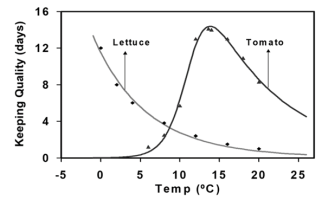 Voorbeeld van modelberekening van verwachte houdbaarheid voor sla en tomaat bij verschillende bewaartemperaturen