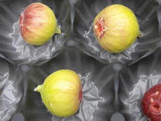 Let op! Deze vijgen kunnen gemakkelijk in de overmaatse cups rollen, wat leidt tot beschadiging van de huid van deze zachte vrucht. Foto door WUR