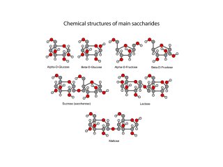 Chemical formulas of main saccharides. Photo by chromatos/Shutterstock.com