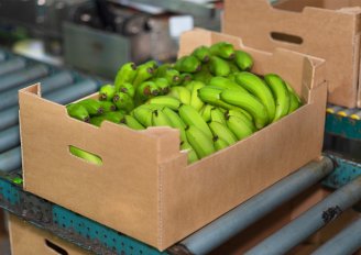 A box full of bananas