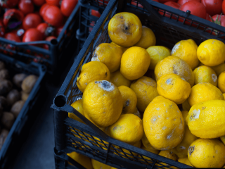 Fungus on lemons. Photo by Poket Idol/Shutterstock.com