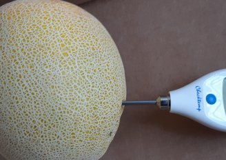 Measuring melon fruit temperature. Photo by WUR