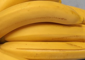 Bananas with splitted skin. 